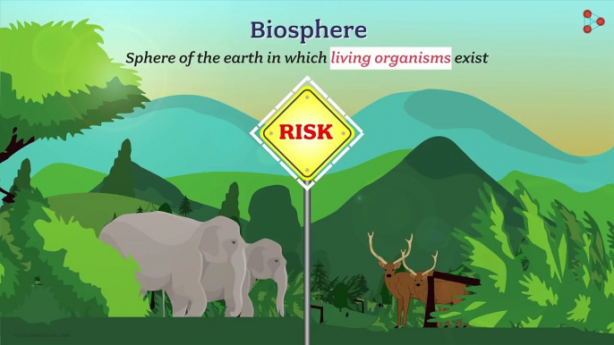 Biosphere, Biodiversity and Protected Areas _ conservation of plants and animals