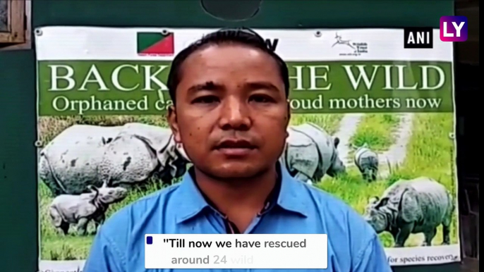 Assam Floods: Rescue Team Saves Baby Rhino From Drowning in Kaziranga Forest