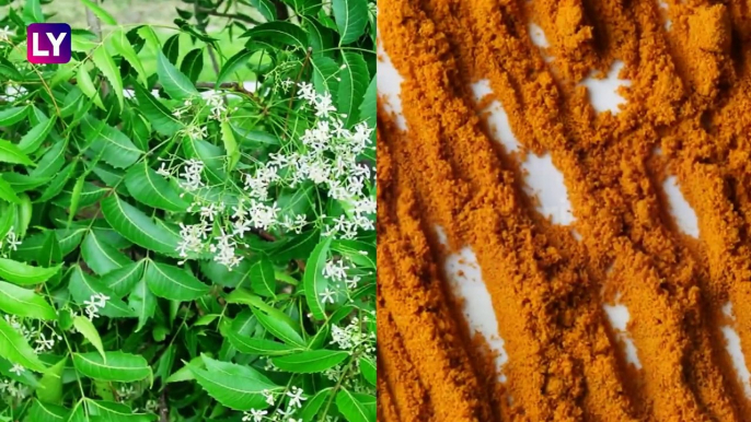 Coronavirus In India: Villagers Use Neem & Turmeric To Sanitise Streets In Tamil Nadu; Know Why