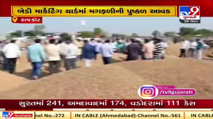 Groundnut procurement prices reduced following heavy inflow in Rajkot's Bedi market yard_ TV9News