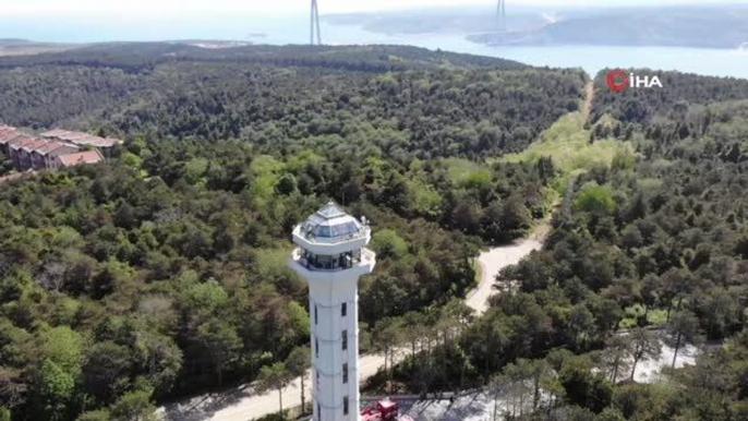 Son dakika haber | İstanbul Orman Bölge Müdürü Yusuf Şahin, vatandaşları yangınlara karşı uyardı