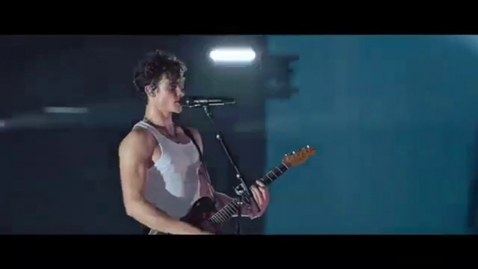 Shawn Mendes Performs “In My Blood” | Shawn Mendes: Live in Concert | Netflix