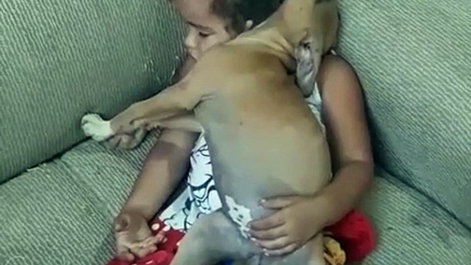 Ce bébé et son chien font dodo ensemble et c'est adorable