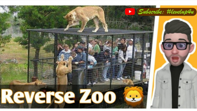 Zoo where you are in cage|Reverse  innovative zoo|The new Zoo|Jungle Zoo|Zoo conservation programmes|#levelup4u