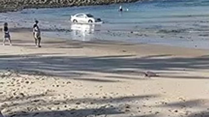 Ce conducteur vient rouler sur la plage et ça finit mal pour lui... Débile