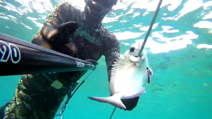 Spearfishing White Sea Bream / Zıpkınla Sargoz Avı