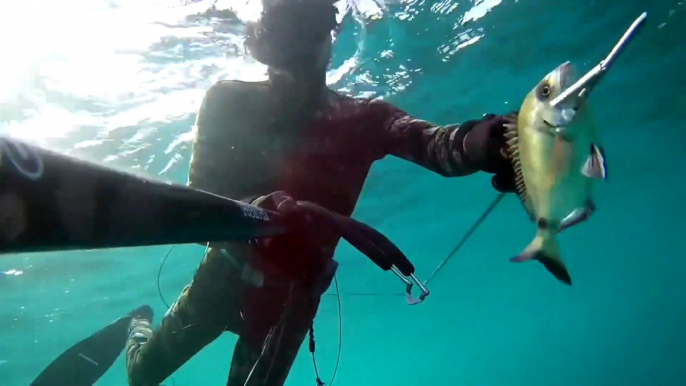 Spearfishing White Sea Bream / Zıpkınla Sargoz Avı