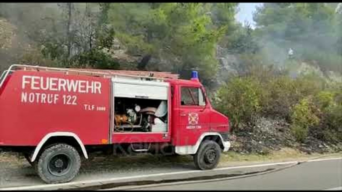 FLAKET PËRPIJNË MASIVET PYJORE NË KLOS, LEZHË DHE DURRËS - News, Lajme - Kanali 7