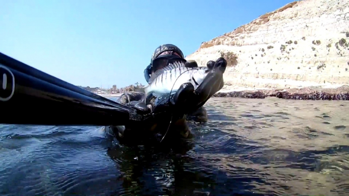 Spearfishing Sand Steenbras / Zıpkınla Mırmır Avı