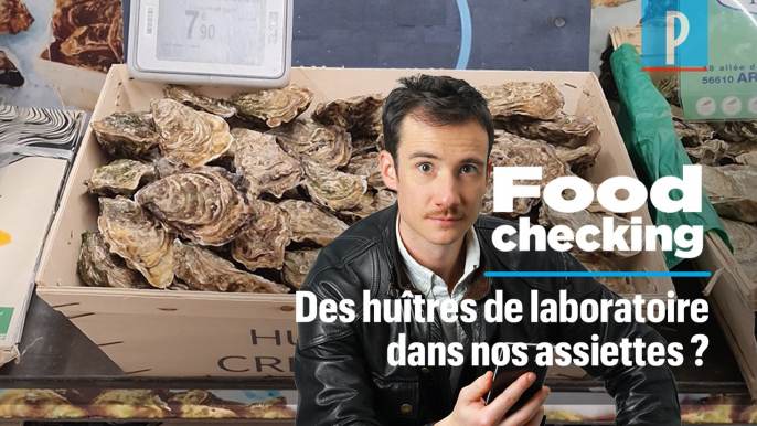 Des huîtres de laboratoire dans nos assiettes ?