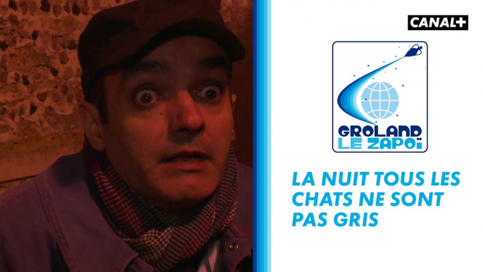 La nuit tous les chats ne sont pas gris - Groland - CANAL+