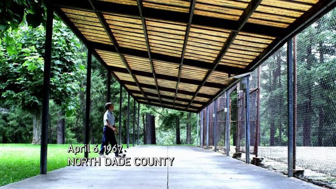 Kids And Professors Encounter UFOs In School's Backyard For 2 Days In A Row   Close Encounters