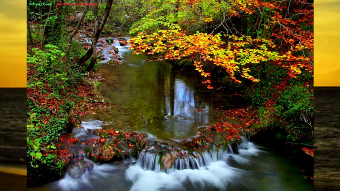 Pensamientos al Aire Libre (Reflexiones) | Yohan Cala