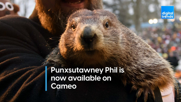 Punxsutawney Phil on Cameo!