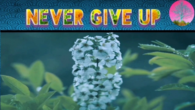 Never Give Up  (8D video)