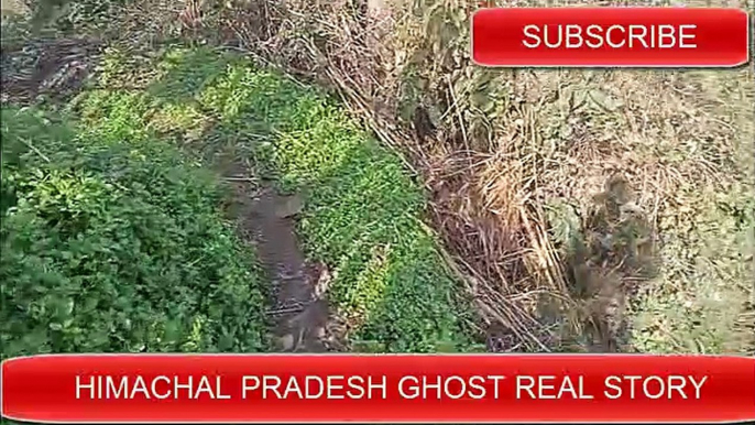 HIMACHAL PRADESH Real Horror Stories,real ghost stories of himachal pradesh