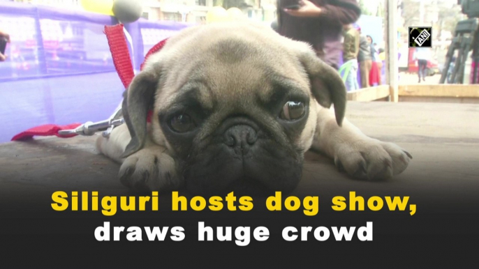 Siliguri hosts dog show, draws huge crowd