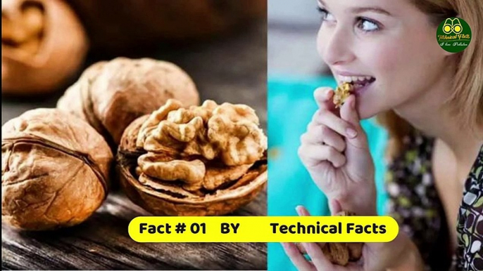 Wonder-full Benefits of Walnut in Human Life | Health benefits | #Technical​ #Facts