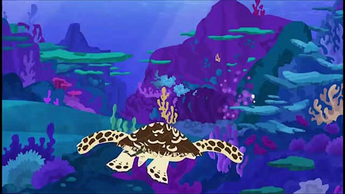 Wild Kratts Sharks Predator and Prey Shark Week