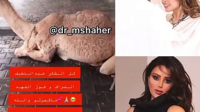 عهود العنزي تتلقى"ناقة" من فوز الفهد وزوجها بمناسبة البراءة