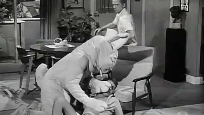 My Favorite Martian S2 E13 To Make a Rabbit Stew First Catch a Martian