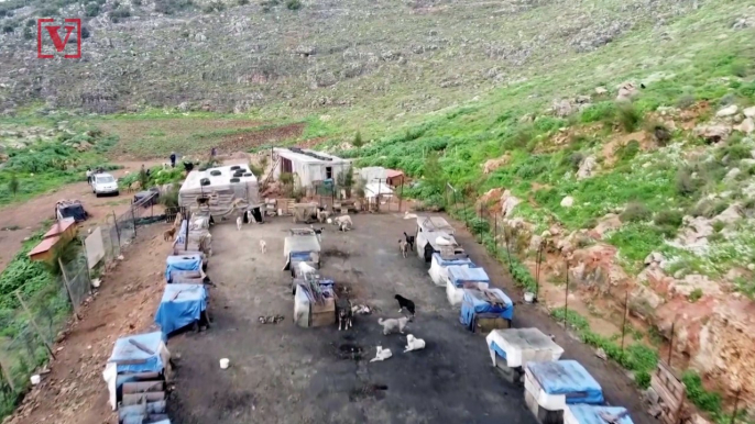Lebanese Farmer Takes Care of Hundreds of Dogs Amid Country’s Financial Crisis