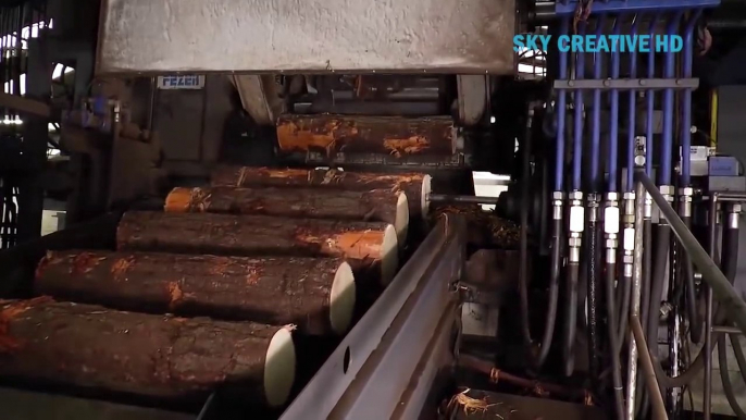 Amazing modern huge wood processing technology I never seen before  || Exciting wood cutting equipment