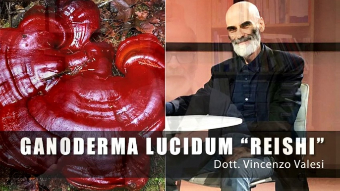 Dott. Valesi: I benefici del Ganoderma lucidum "Reishi"