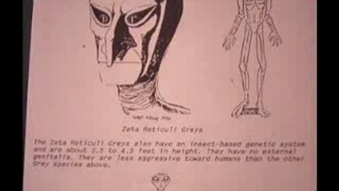 Alien Species 2 - Greys and Reptilians