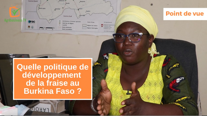 Point de vue : Quelle politique de développement de la fraise au Burkina Faso ?