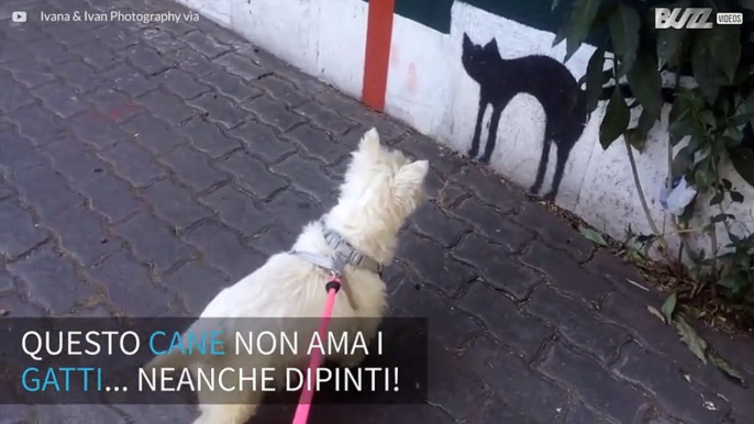 Cane spaventato dalla sagoma dipinta di un gatto