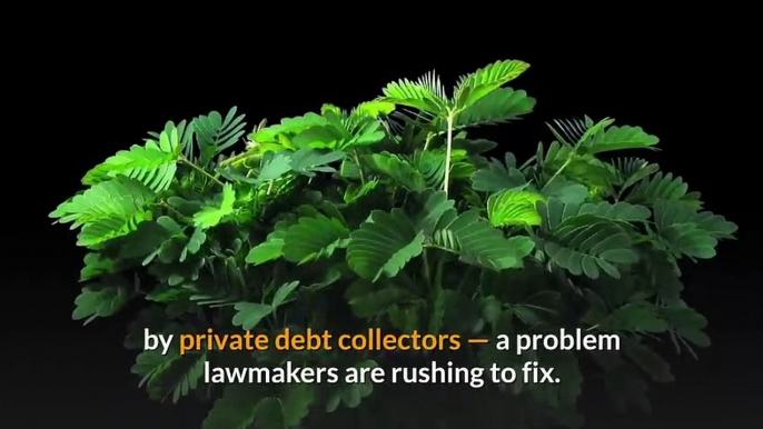 Debt collectors can seize the new stimulus checks Lawmakers are trying _ OnTrending News