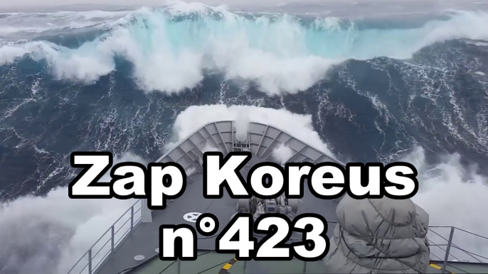 Zap Koreus n°423