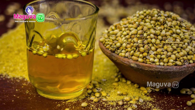 Health Benefits of Coriander Seeds |  Dhaniya water Benefits | Maguva TV | Health & Beauty Tips