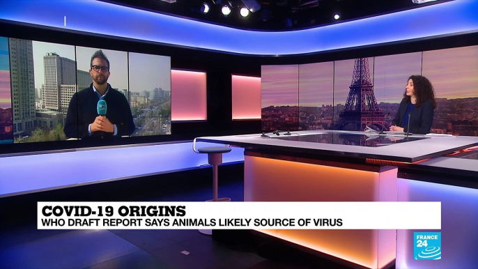 Covid-19 origins: WHO draft report says animals likely source of virus