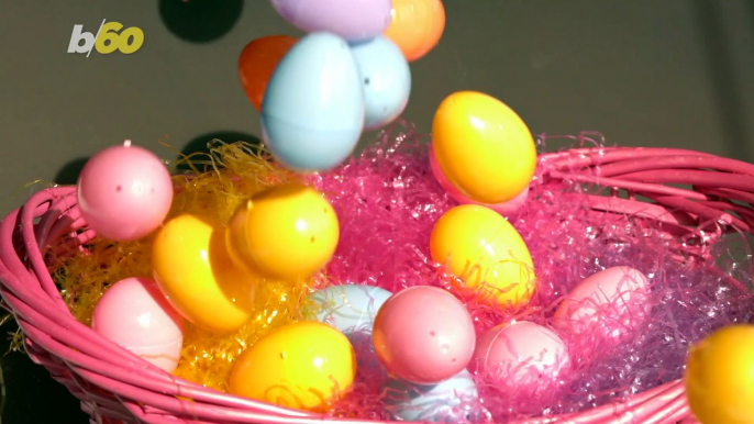 The Most Epic Easter Egg Hunt Brought to You By These Adorable Meerkats