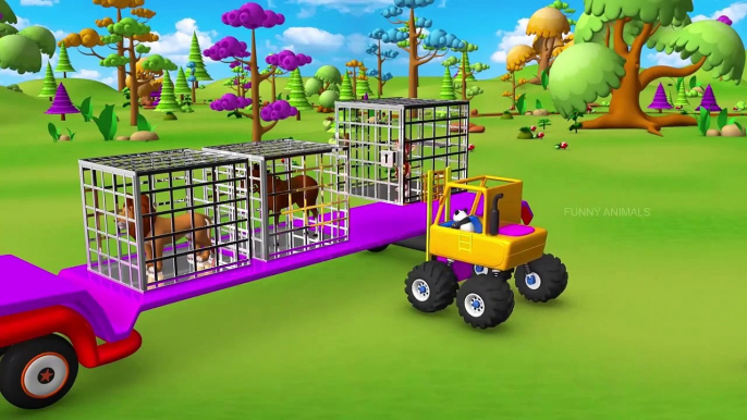 Animal Toy Cars Race | Funny Animals Videos | Animals Cartoons | Animals Racing Videos