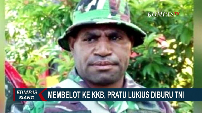 KKB Kembali Bakar Rumah Kepala Suku dan 3 Rumah Guru, Bupati Desak Segera Ditindak