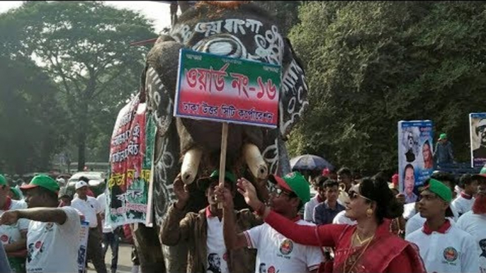 সেলফি উইথ জয় বাংলা হাতি | Selfie With Joy Bangla Elephants