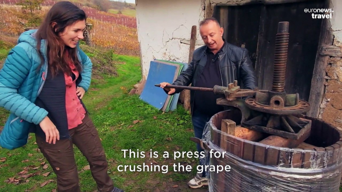 Welcome to the family vineyard that survived two world wars