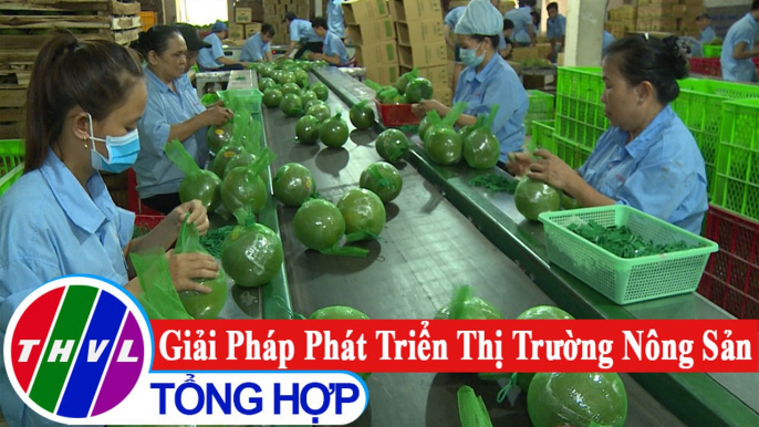 Chuyên đề kinh tế: Giải pháp phát triển thị trường nông sản