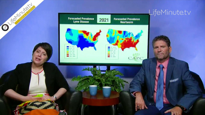 Companion Animal Parasite Council Releases 2021 Forecast