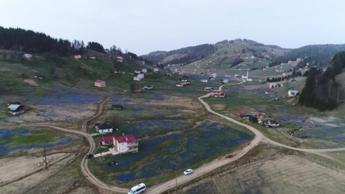 KADIRALAK YAYLASI'NA 'KESİN KORUNACAK HASSAS ALAN' TALEBİ