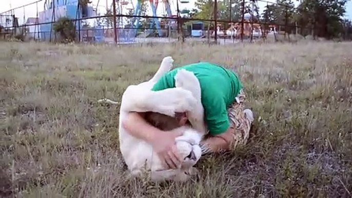 Ce dresseur fait un gros calin à son lion... Belle amitié