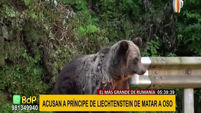 Investigan a príncipe por matar al oso más grande de Rumanía