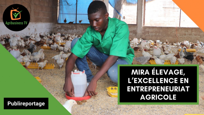 Burkina Faso : MIRA ÉLEVAGE, l’excellence en entrepreneuriat agricole