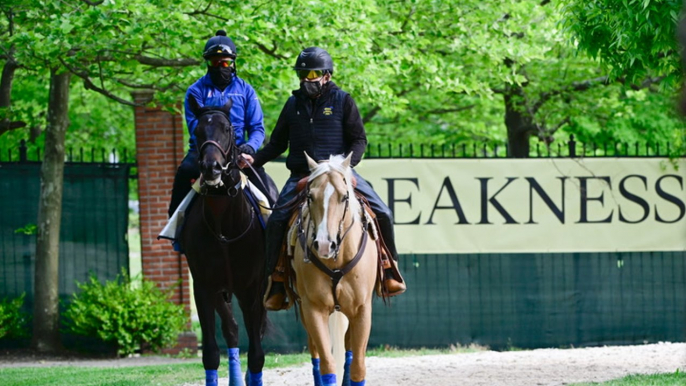 Preakness Stakes Post Positions and Early Odds