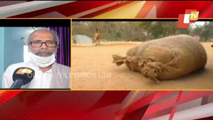 Paddy Procurement | Farmers In Distress In Balasore