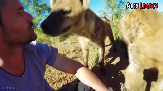 EMOTIVOS REENCUENTROS DE ANIMALES CON SUS DUEÑOS