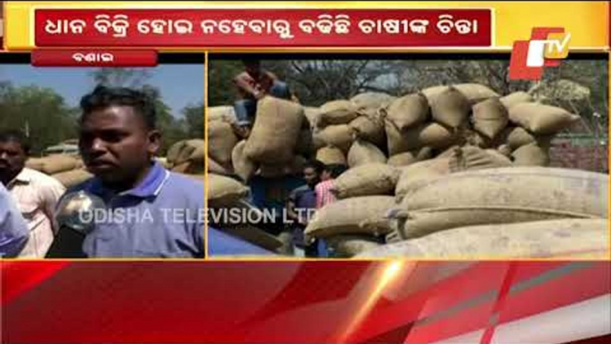 Farmers In Distress Over Delay In Paddy Procurement In Sundargarh